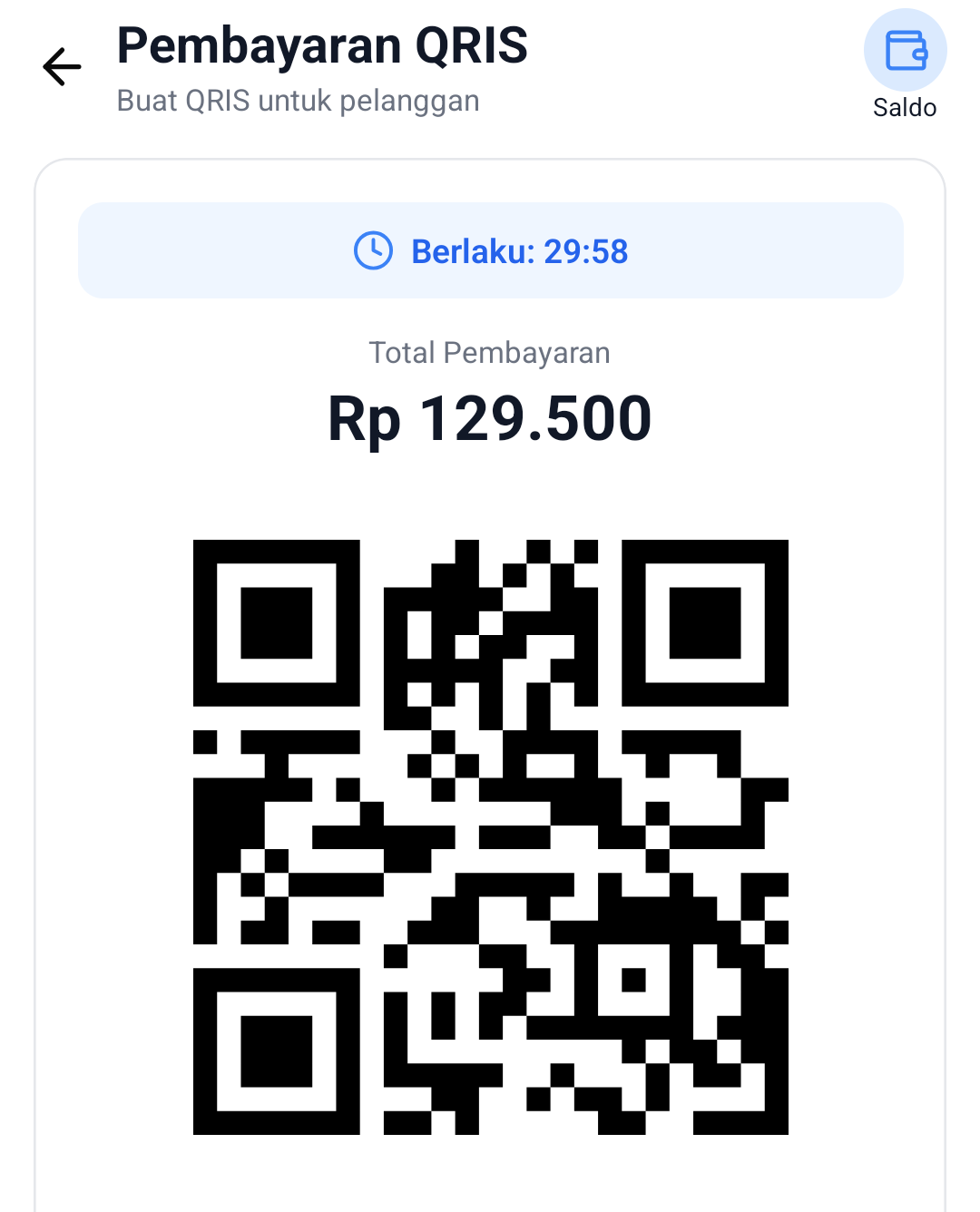 Biz Pro QRIS Screenshot